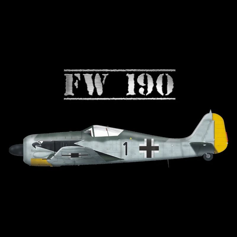 Focke Wulf FW 190 Jagdflugzeug