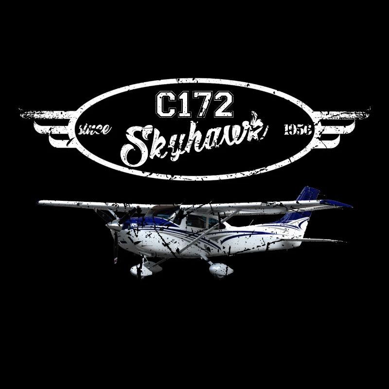 C172 Skyhawk since 1856 Vintage