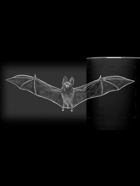 Bat