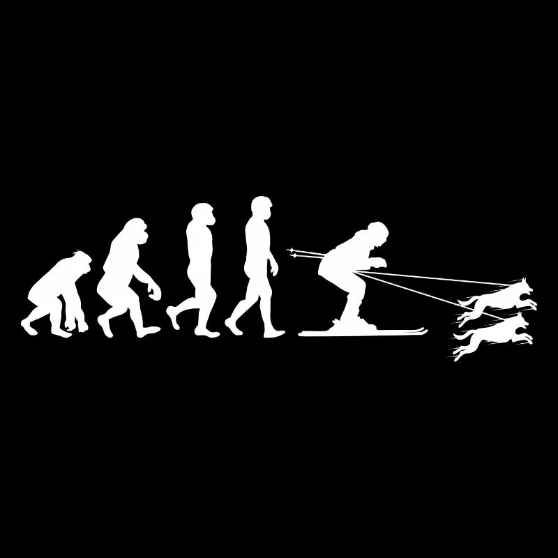 Dog Skijoring Skiing Winter Sport Evolution