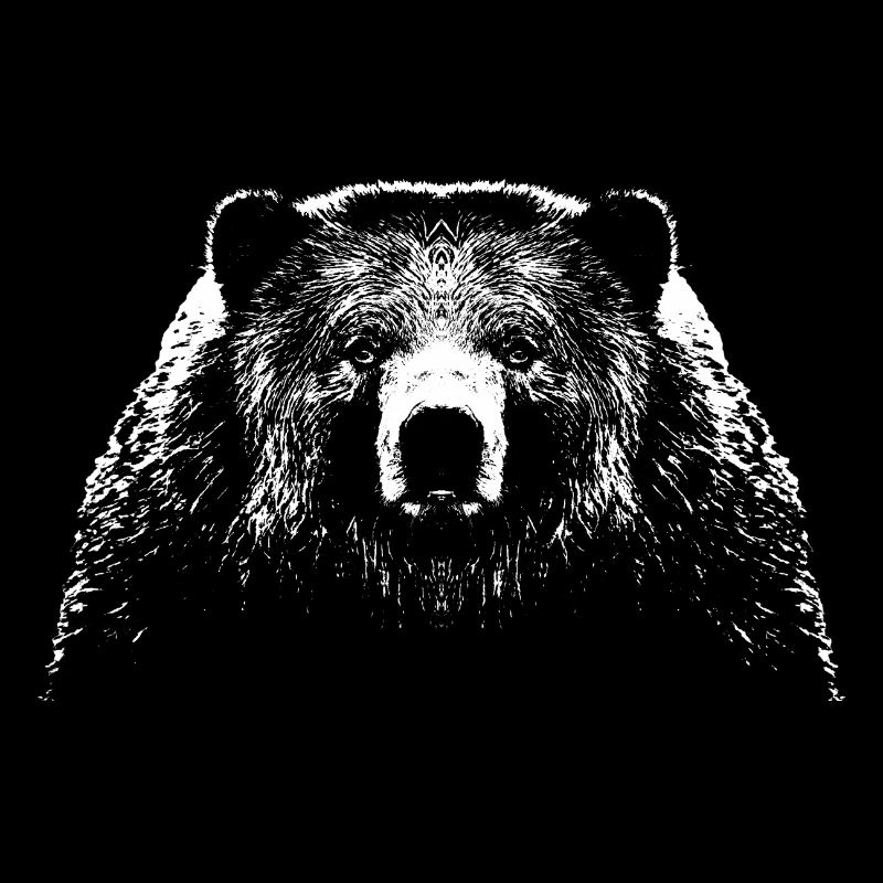 Bär / Kopf / Bear