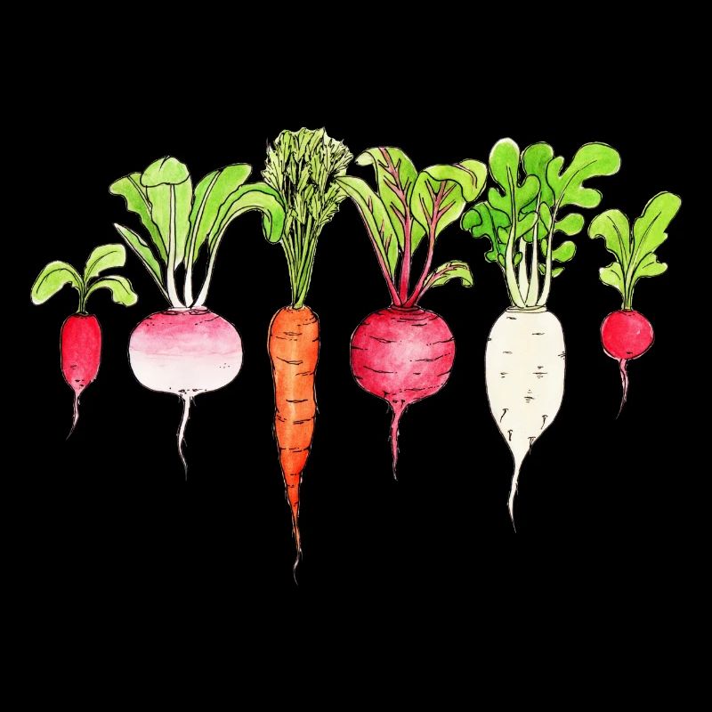 Root vegetables Radishes Carrot beetroot Radish