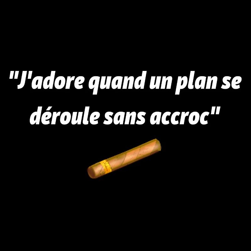 J adore quand un plan se déroule sans accroc