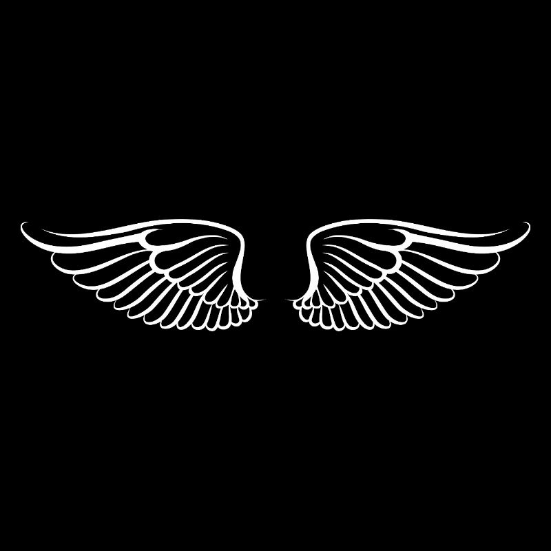 Les ailes