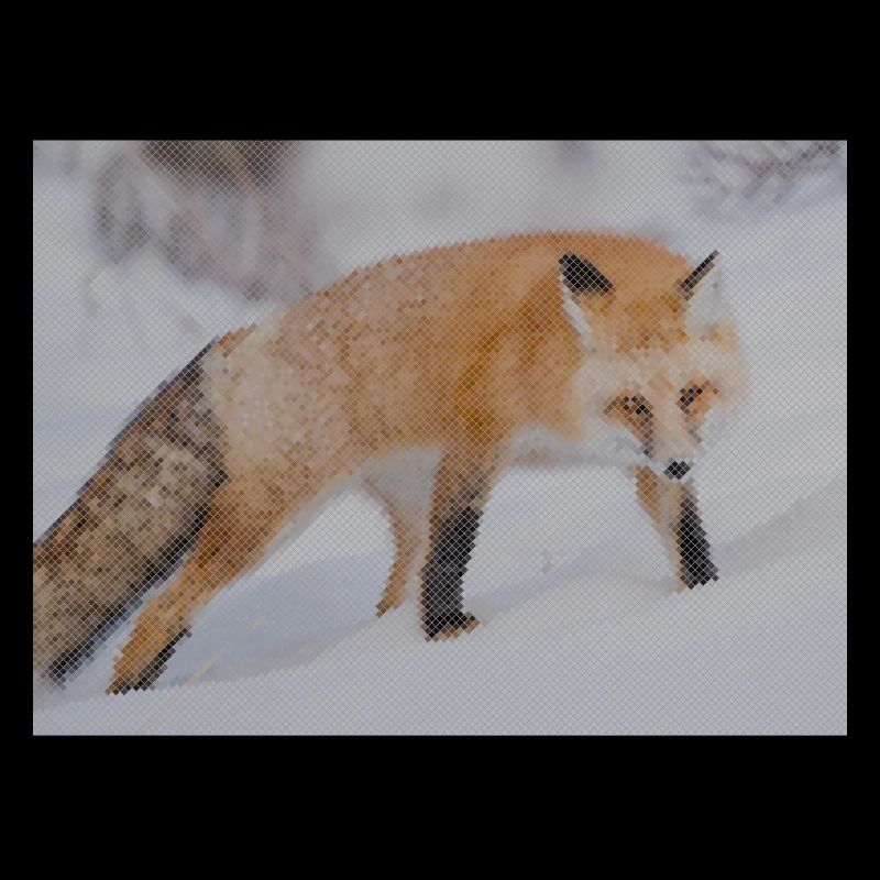 Snow Fox Pixel Art