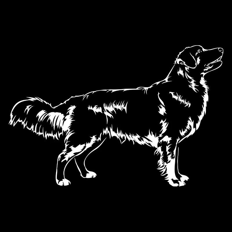 NOVA SCOTIA DUCK TOLLING RETRIEVER stand