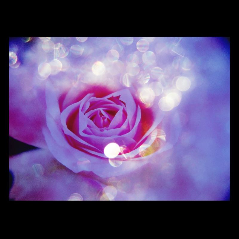 L’exposition multiple lumineuse de Rose