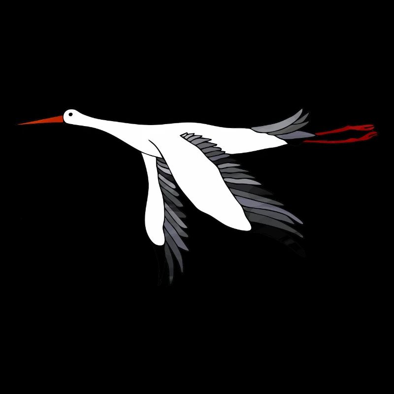 Cicogna