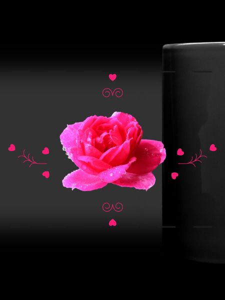 Rose