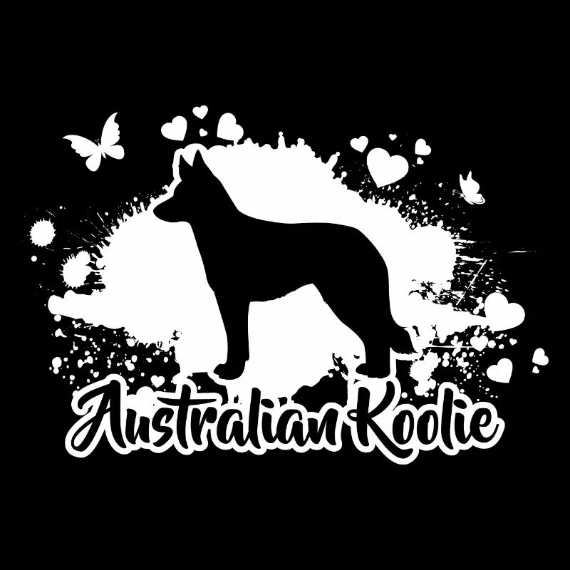 Chiens Koolie australiens race de chien Wilsigns
