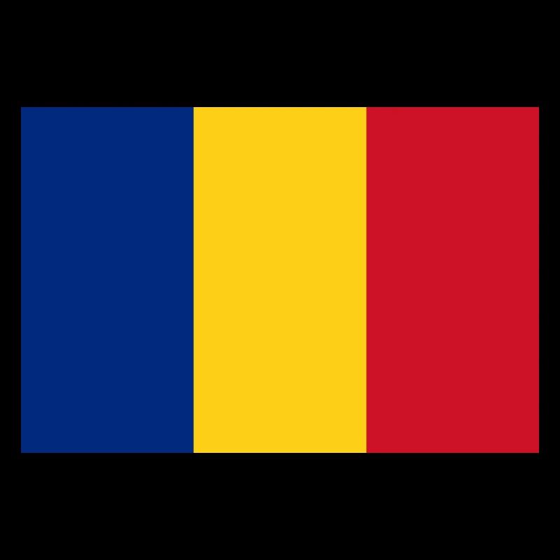 DRAPEAU DE ROUMANIE