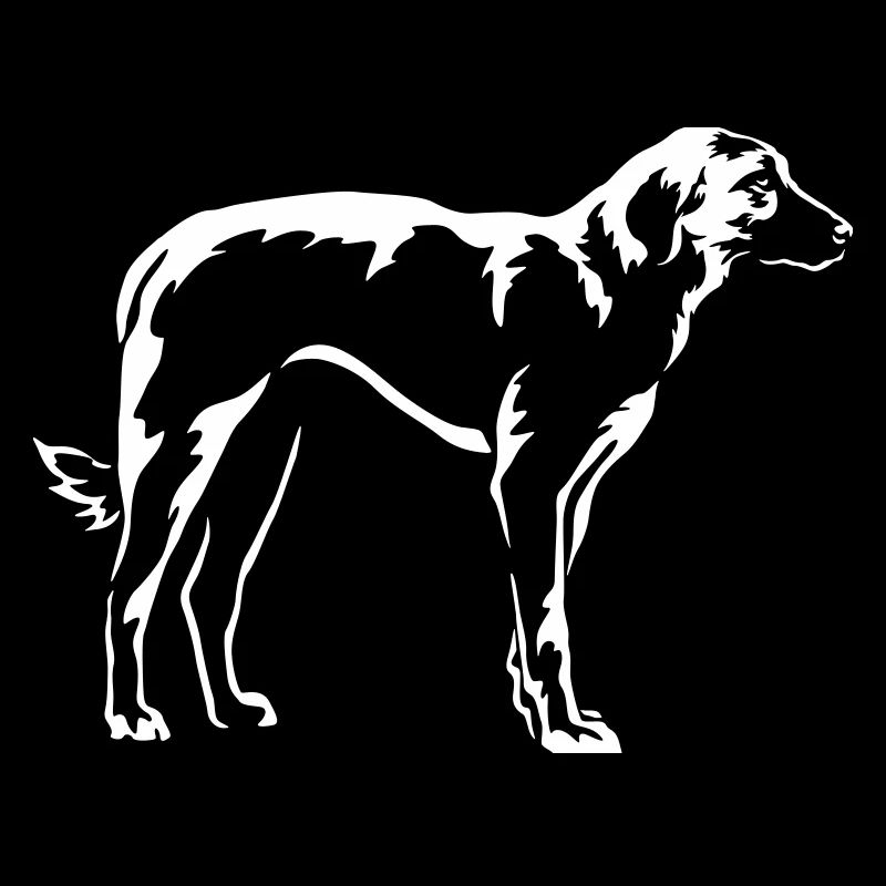 Kangal "Black Edition"