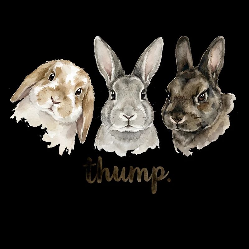 Fun rabbit knocking for rabbit lovers