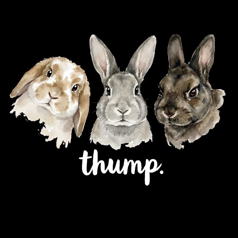 Fun rabbit knocking for rabbit lovers