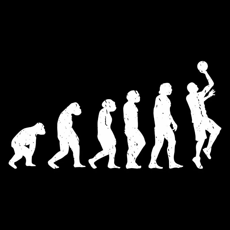 Evolution Basket-ball