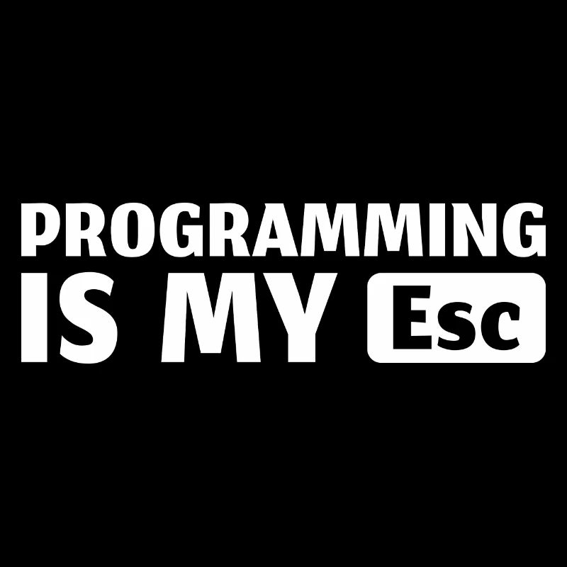 Informatik IT Programmierer