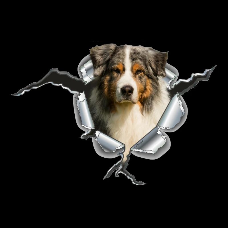 Australian Shepherd im Metall-Loch