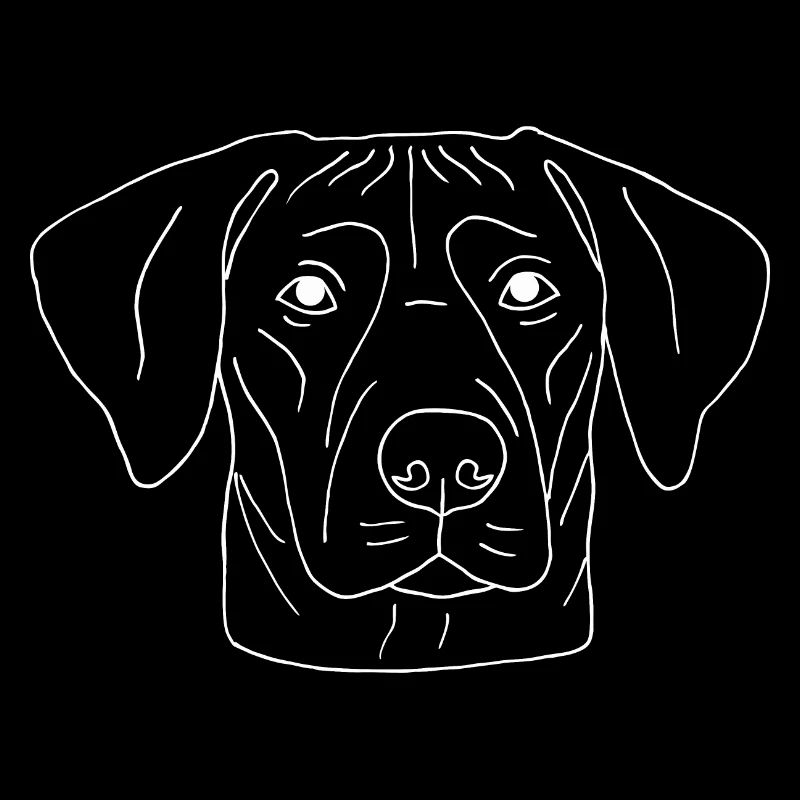 Rhodesian Ridgeback