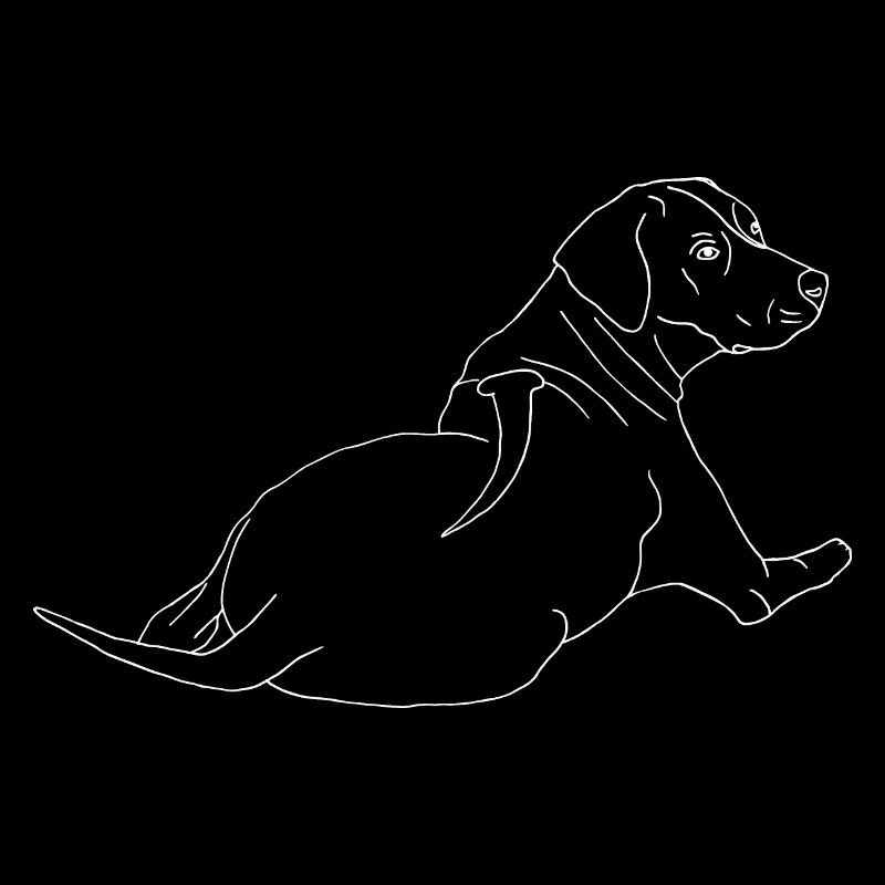 Rhodesian Ridgeback