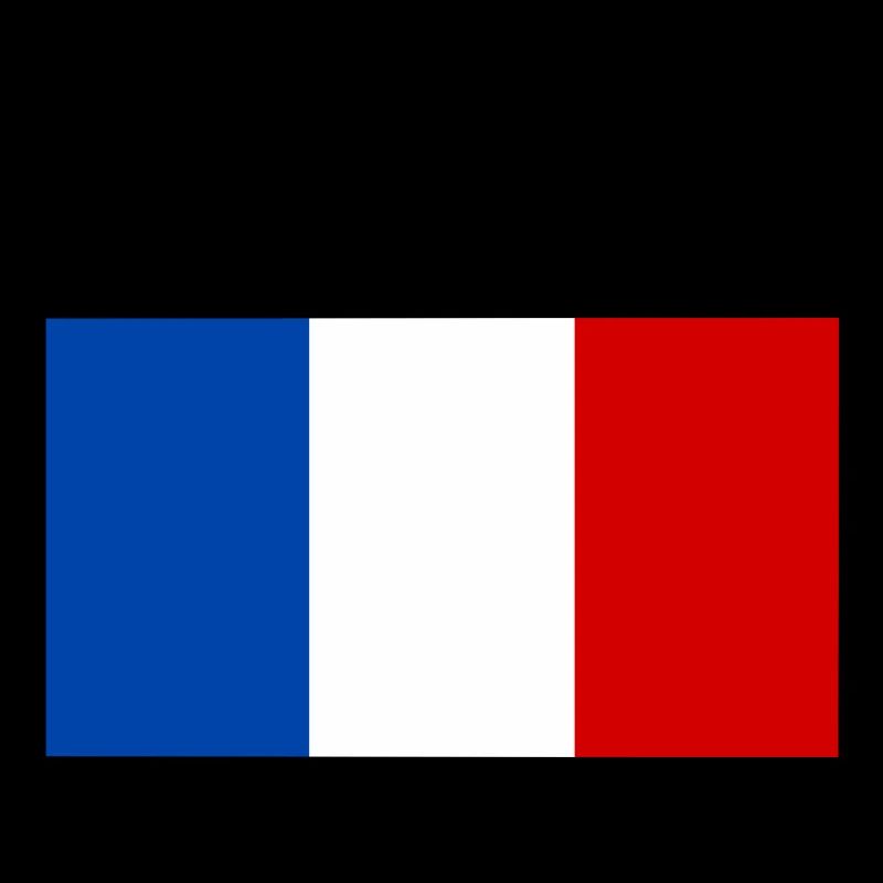 FRANCE DRAPEAU