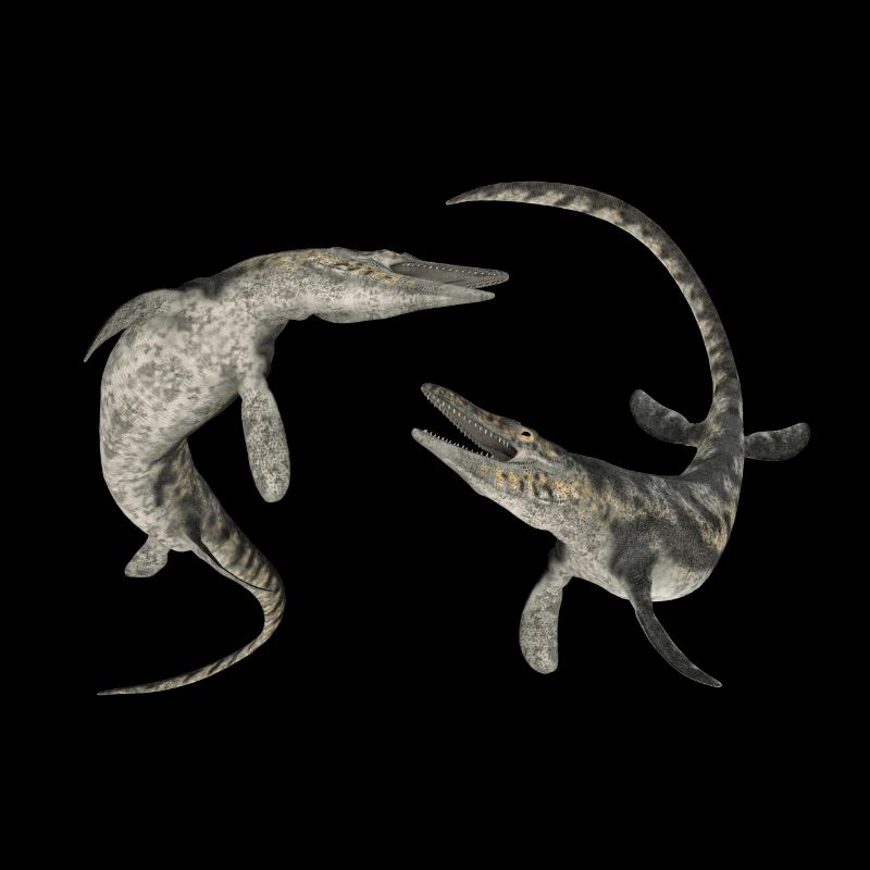 Mosasaurier Tylosaurus