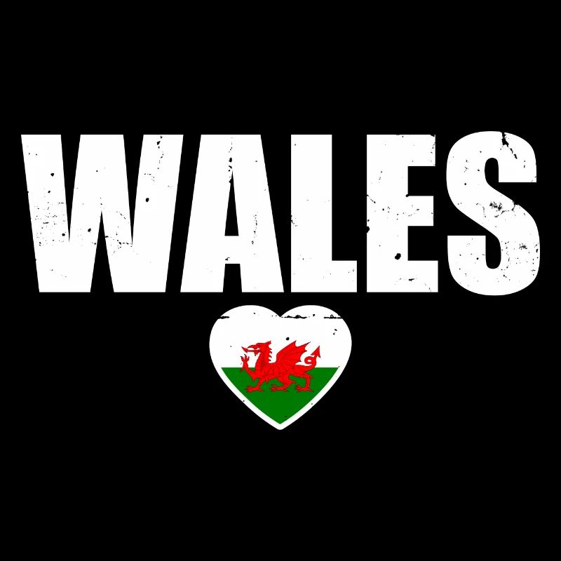 Wales Walisische Flagge Waliser