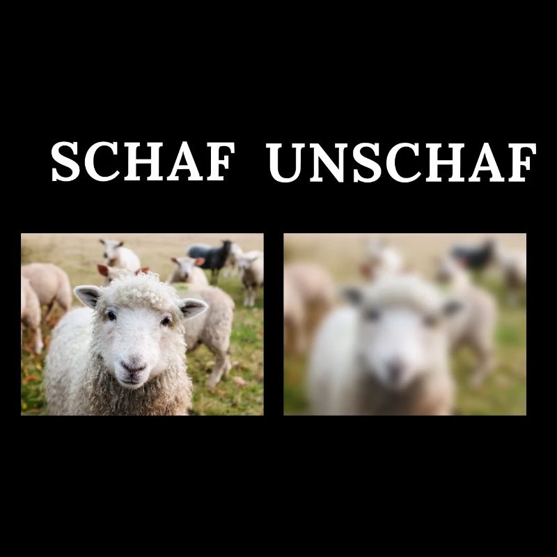 Drôle de comparaison moutons moutons mouton