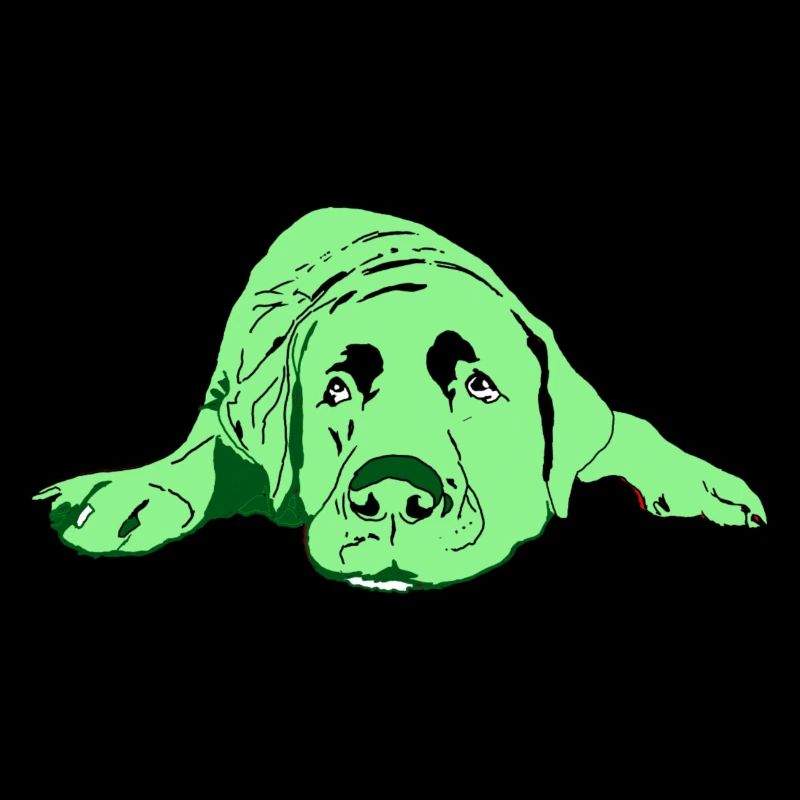 Labrador
