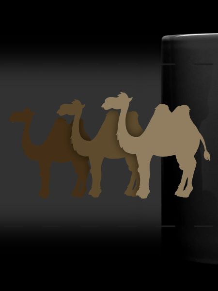 Camels