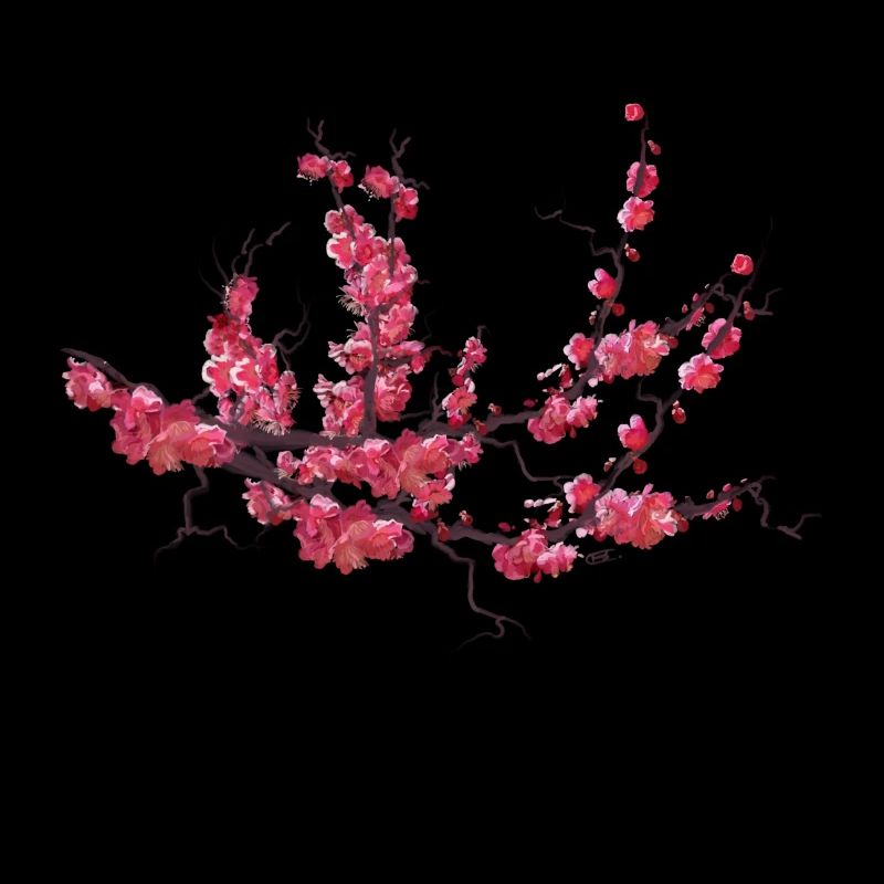 sakura