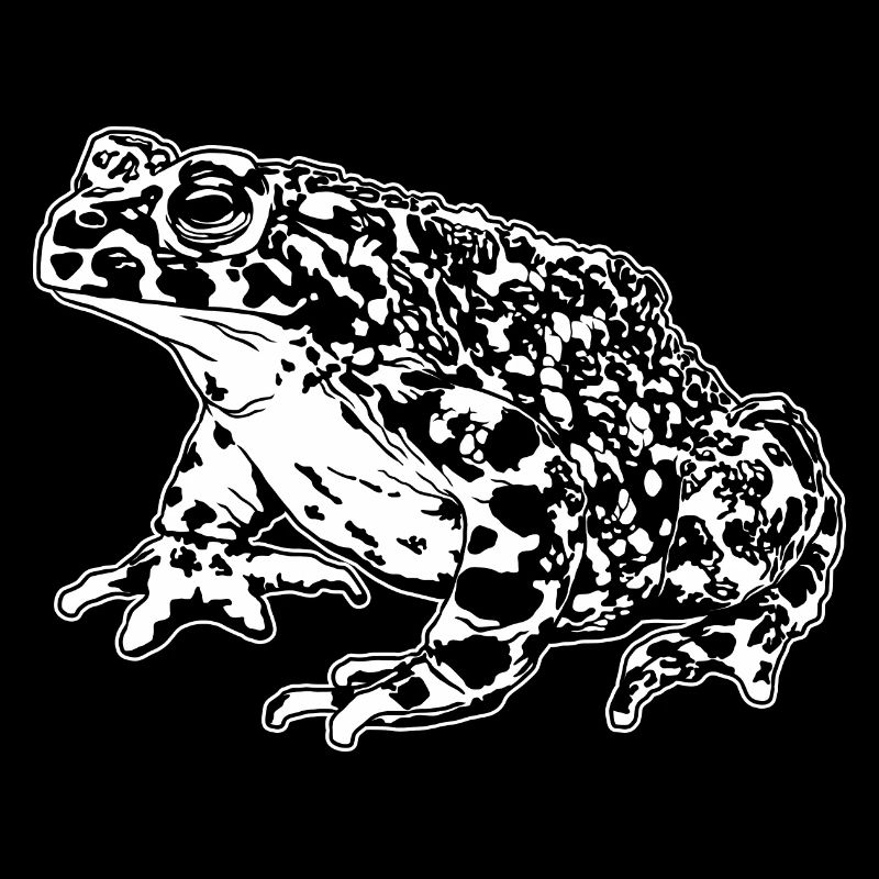 Toad Frog Graphic Aquatic Amphibian Frog Lovers