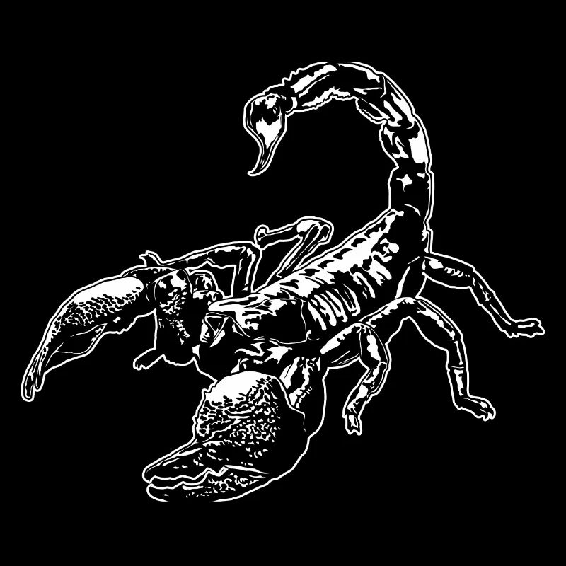 Cool Scorpion Insect Sketch Graphic Scorpion Lover