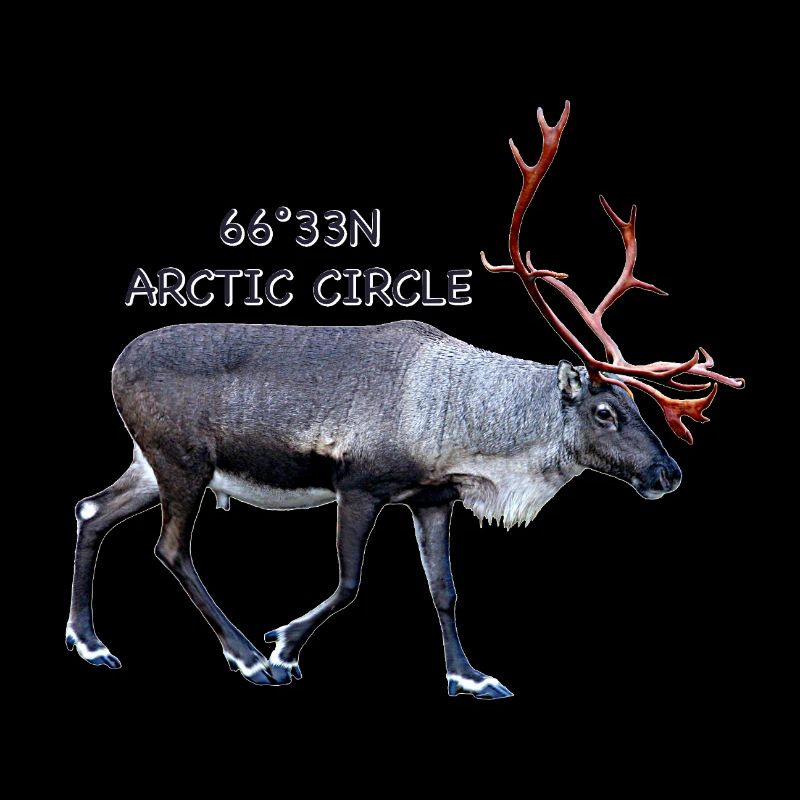 Arctic Circle