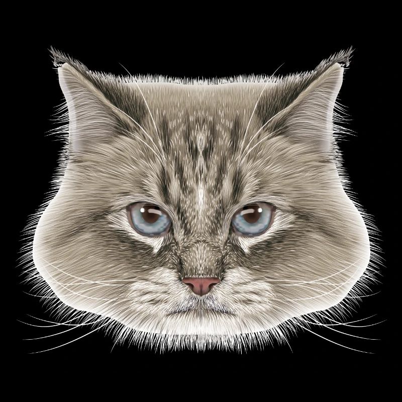 Siberian Cat