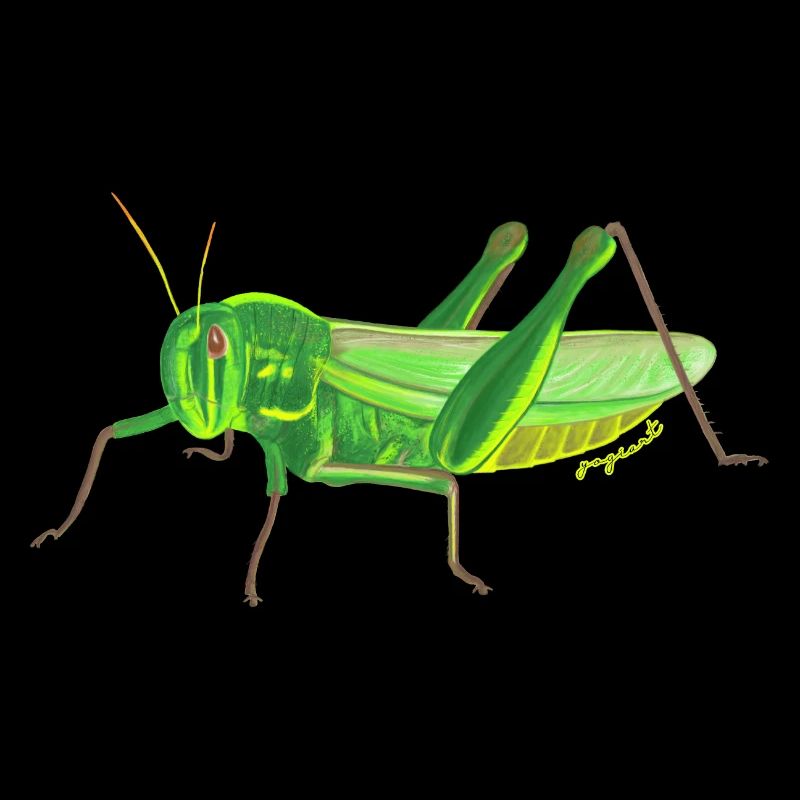 grasshopper
