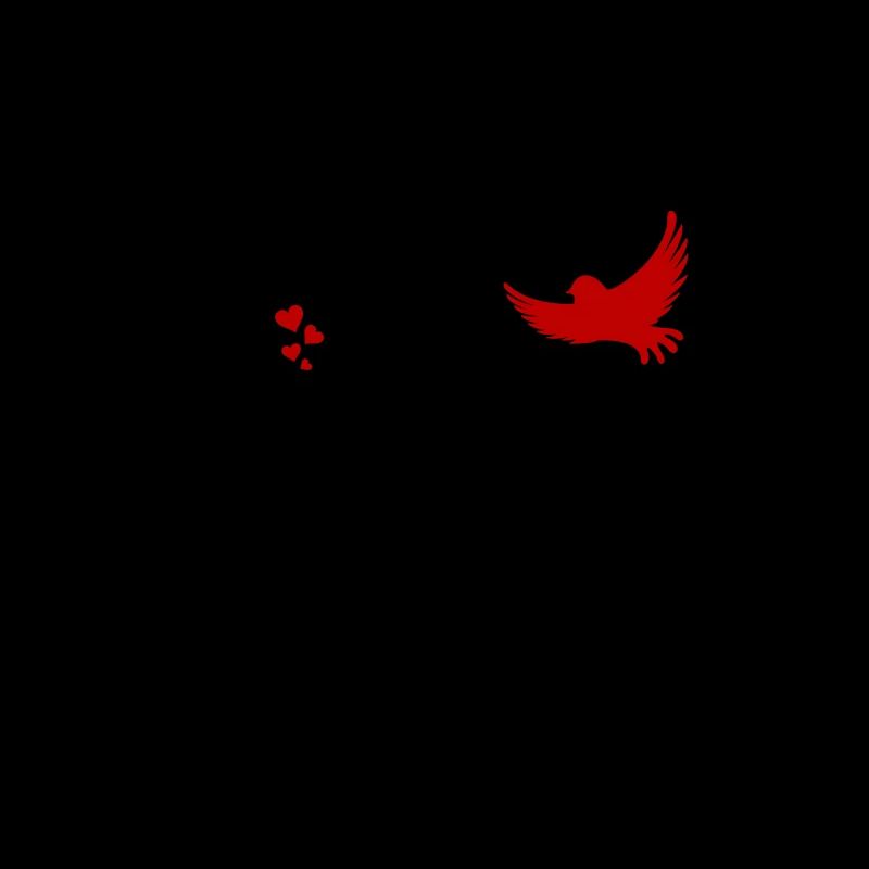 Fée Elfe Silhouette Amour