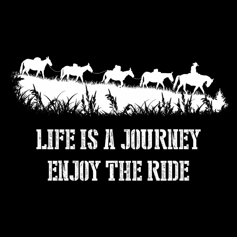 Pferd, Maultier, Packpferd