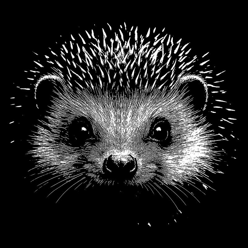 Hedgehog