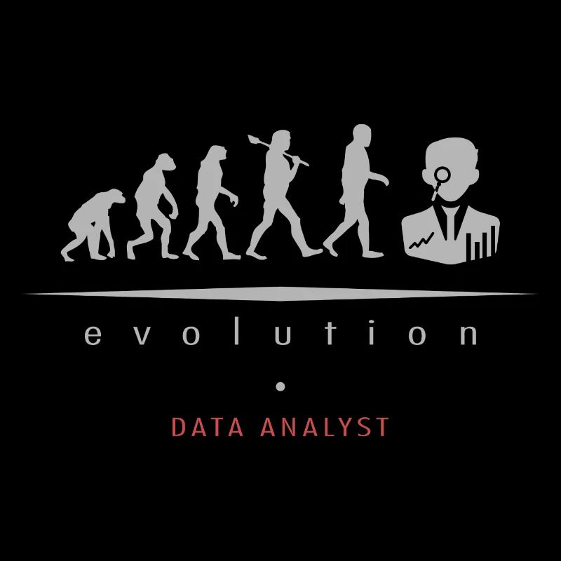 Data Analyst Evolution Design für einen