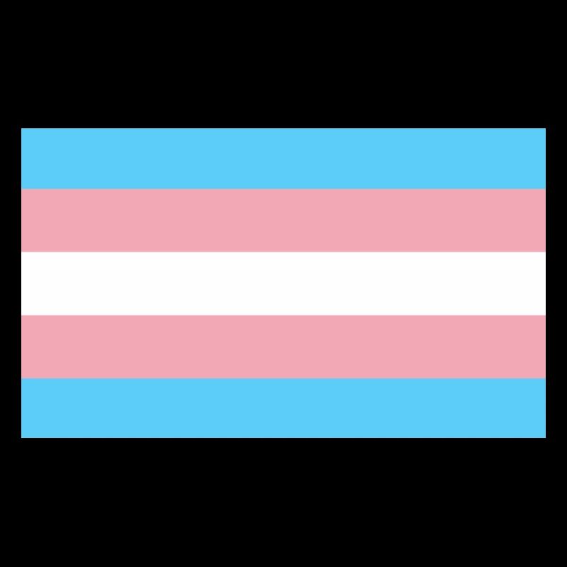 Trans Flag