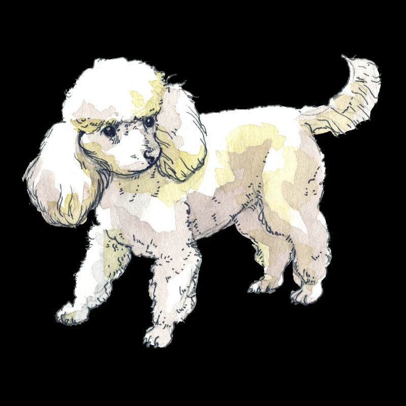 poodle