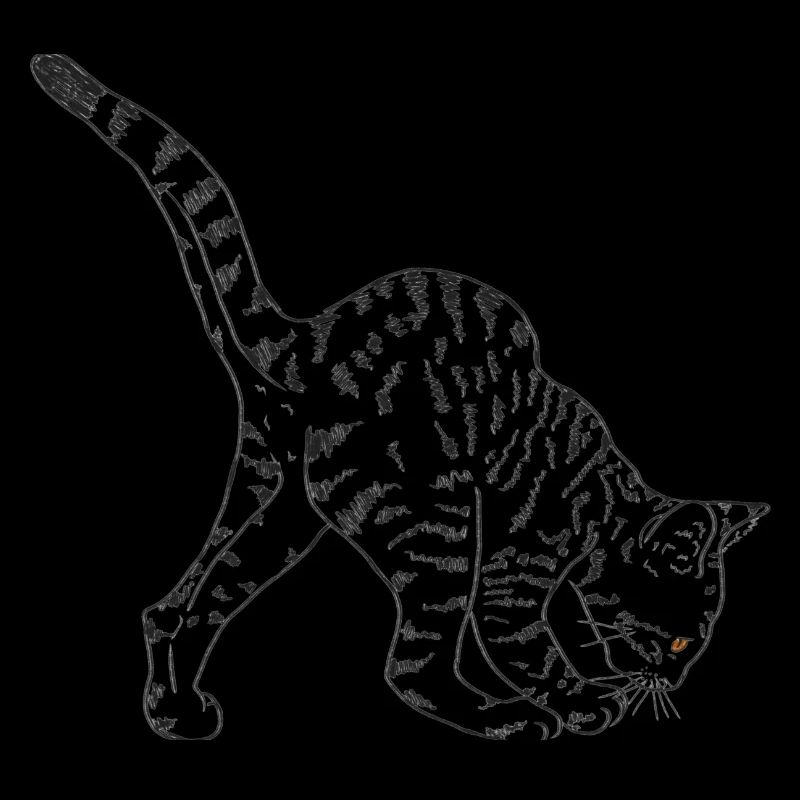 Black Cat