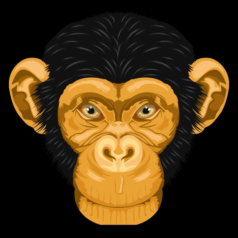 Affe Schimpanse Äffchen