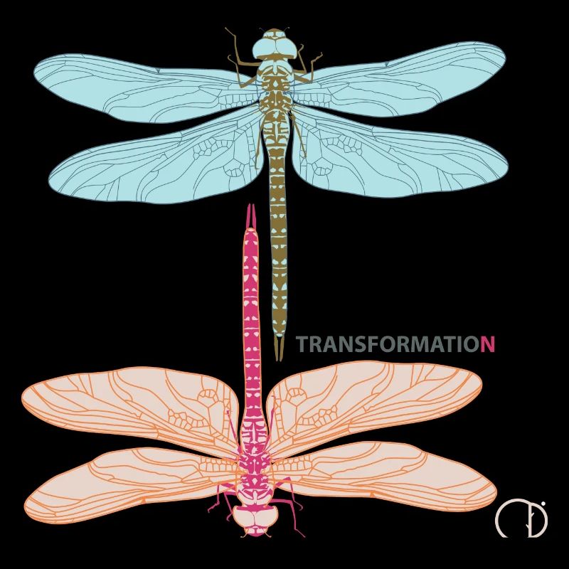 Libellules et transformation par CD