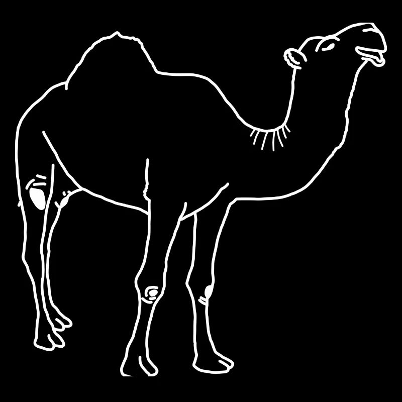 Dromedary lineart