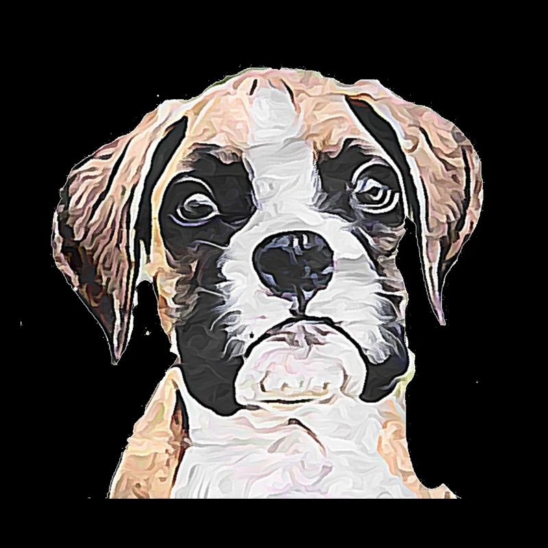 Boxer puppy