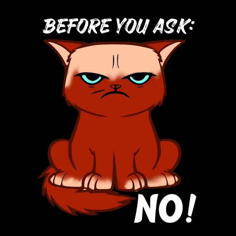 Angry Cat Say No Cool Gift Idea