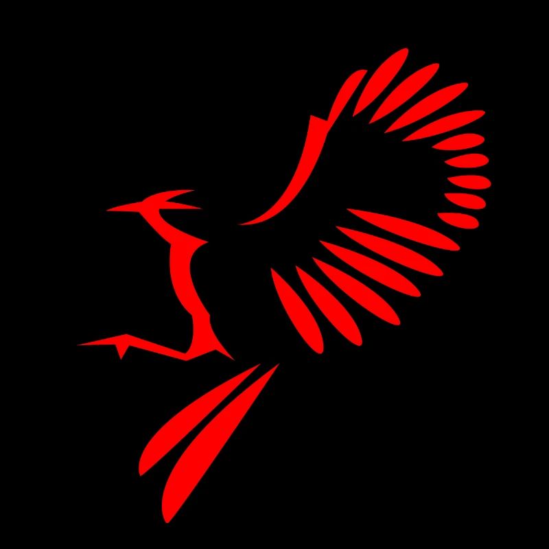 Bird illustration