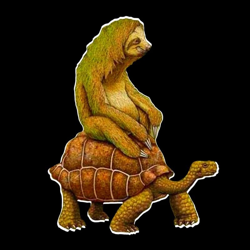 Sloth on turtle