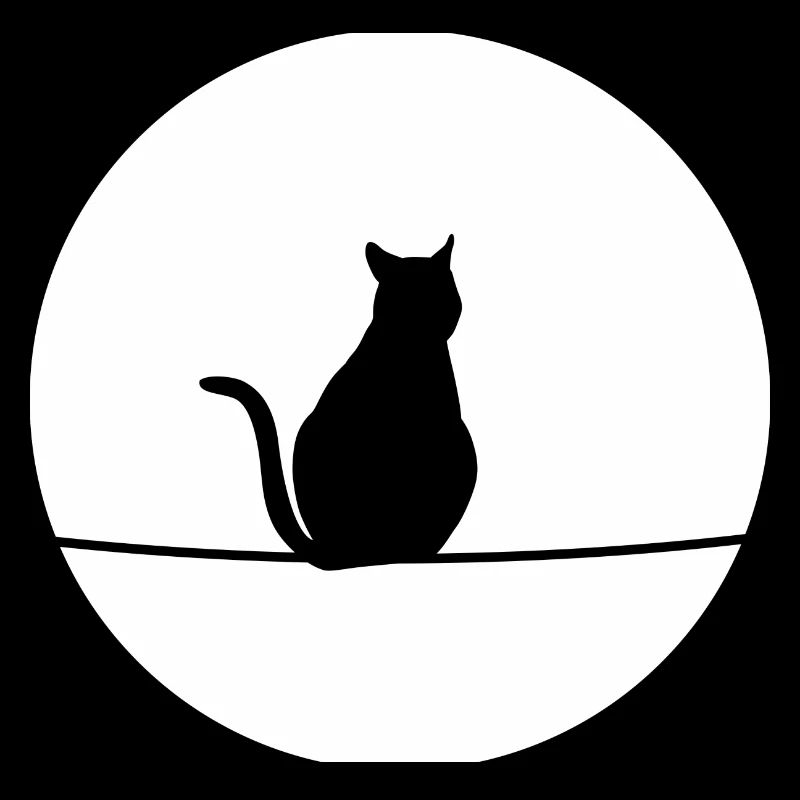 Cat in the moonlight